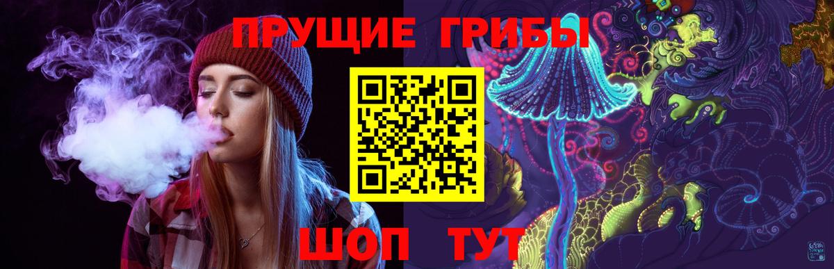 Галлюциногенные грибы Psilocybe  Вход с VPN  Малгобек 